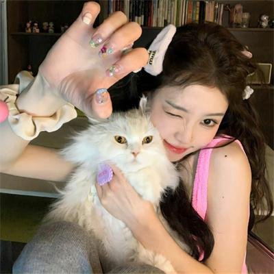 速度与激情:特工飞车手第二季